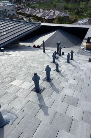 gallery 1